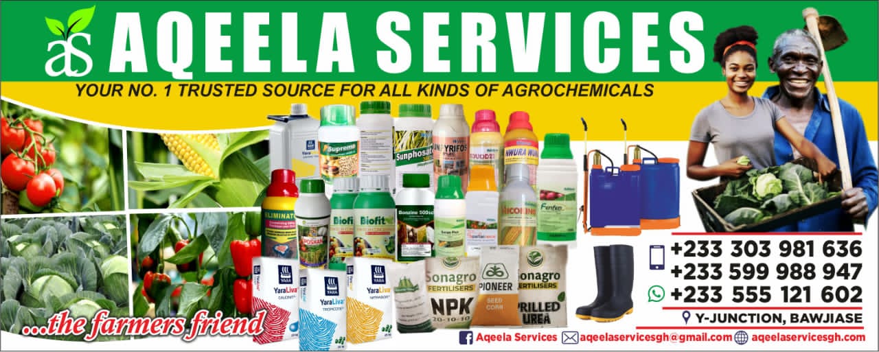 Aqeela Services banner